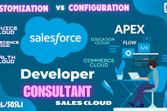 be your salesforce development consultant