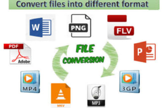 do file conversions for you