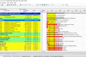 develop technical projects on primavera p6 and ms project