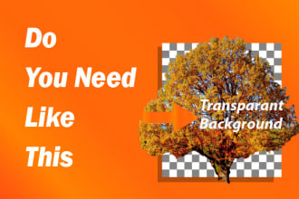 delete you picture background and change it