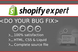 install shopify theme and fix bugs, remove errors on your shopify website