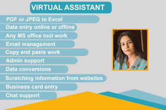 be your virtual assistant for data entry and web research