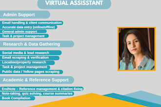 be your virtual assistant for data entry and web research