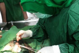 be your veterinary doctor for pets large animals birds