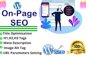 do on page seo service for the wordpress website