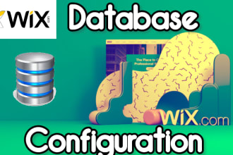 create custom database functionality on your wix velo site
