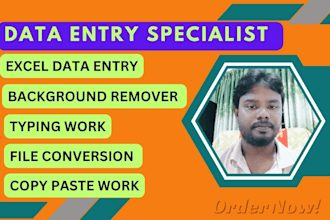 do professional date entry, copy paste, web research