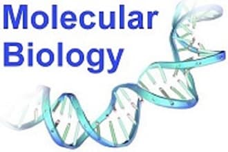 write quality work on molecular biology and biotechnology