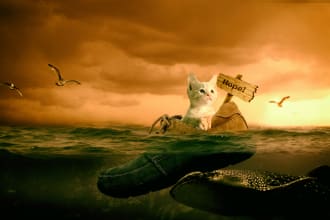 do realistic photoshop photo manipulation