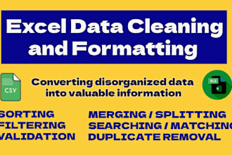 do ms excel data cleaning, formatting, merging, splitting, deduplicate