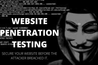 do website penetration testing with the professional report