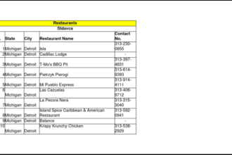 your virtual assistant excel data entry web research