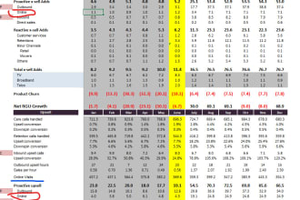 create a spreadsheet for you to manage your data and clients