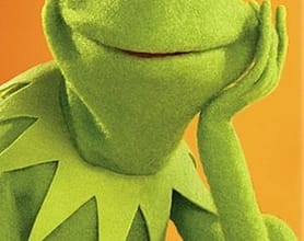 record a message in a Kermit The Frog voice