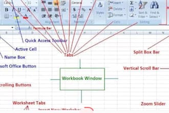 offer spss, r, and advanced excel consultations