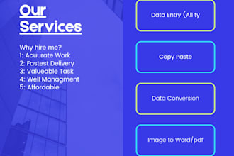be your custom data entry operator with perfection