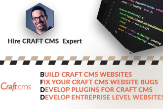 fix your craft cms or craft commerce website bugs