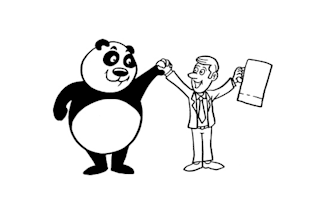 give you tax and accounting advice for China