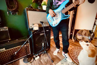 record a bass line for you in my real recording studio