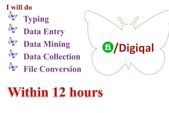 data entry excel, copy paste and web search