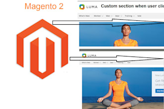 set up opensearch solr customize layouts for store