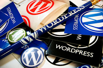 solve your WordPress website problem within 24 hours