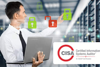 be your IT auditor and will do an IT system audit