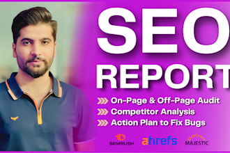 offer hand written SEO audit report and action plan to rank