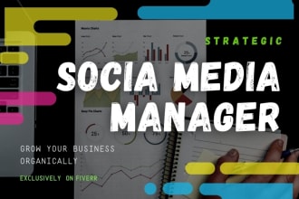 be your social media manager with strategic plan