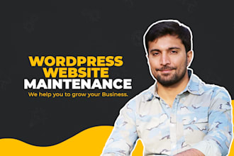 provide monthly wordpress website maintenance