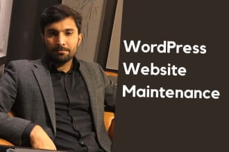 provide monthly wordpress website maintenance