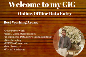 do data entry online and offline