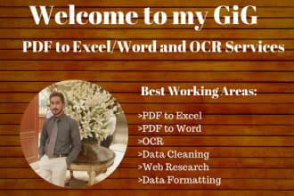 do 4 hours data entry services, pdf to excel or word and copy paste work