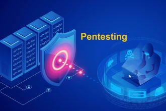 perform pentesting to find vulnerabilities