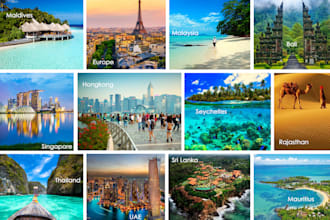 design a professional catalog, brochure, company portfolio
