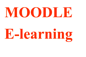 do moodle development, installation, customization, and support