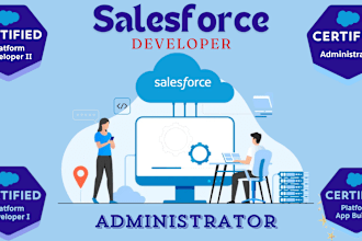be your salesforce administrator