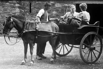 track your irish ancestors and build family tree
