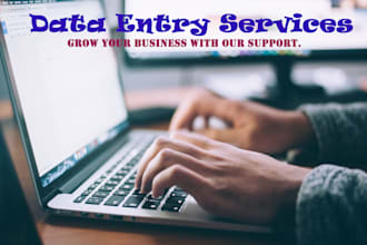 do the fastest data entry job professionally within 12 hours