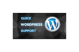 maintain, update and secure your wordpress website