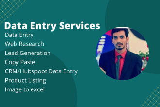 do fast data entry and web research