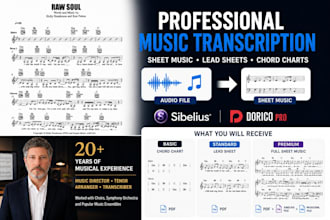 professionally transcribe your song into sheet music, lead sheet or chord chart