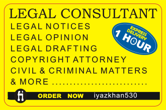 be your online legal consultant