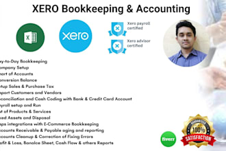 bookkeeping and accounting using xero certified proadvisor