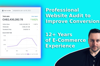 do a professional audit to improve conversions on shopify