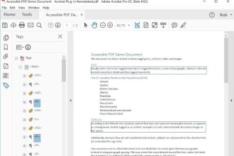 remediate PDF to PDF ua standards section508 wcag