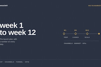 your go to market strategy and product launch plan