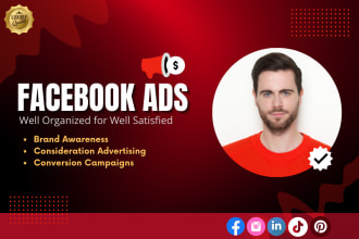 setup and manage the facebook ads campaigns