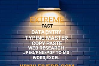 do data entry ,copy paste and data typing work