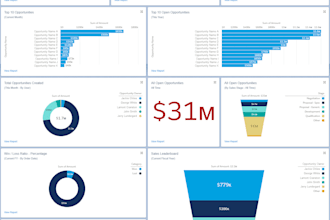 provide professional salesforce development, analytics, adoption services